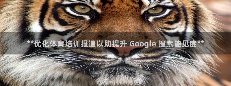耀世娱乐注册入口：**优化体育培训报道以助提升 Go