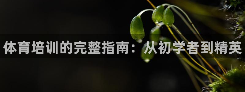 耀世歌曲：体育培训的完整指南：从初学者到精英
