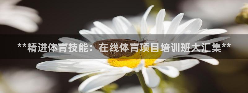 耀世集团的创始人是谁：**精进体育技能：在线体育项目