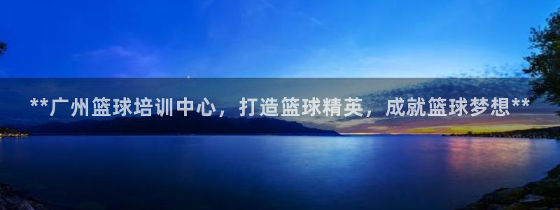 耀世平台注册步骤：**广州篮球培训中心，打造篮球精英