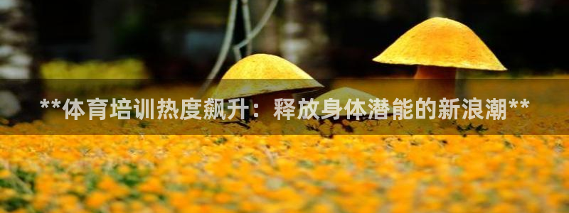 耀世娱乐官网首页登录：**体育培训热度飙升：释放身体