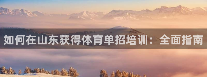 耀世国际集团是国企吗还是私企：如何在山东获得体育单招