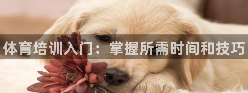 耀世平台木 5o69I7：体育培训入门：掌握所需时间
