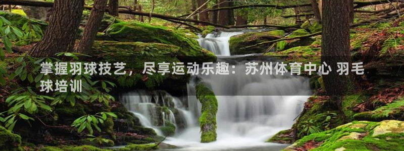 耀世令是什么：掌握羽球技艺，尽享运动乐趣：苏州体育中