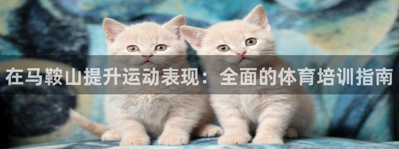 耀世娱乐平台官网登录入口：在马鞍山提升运动表现：全面