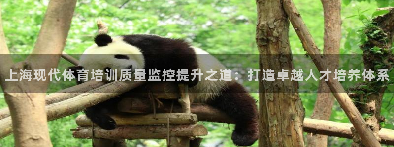 耀世平台注册登录不上怎么回事：上海现代体育培训质量监