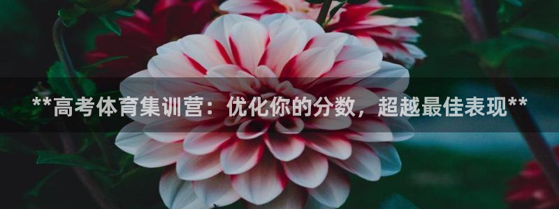 耀世平台下载：**高考体育集训营：优化你的分数，超越