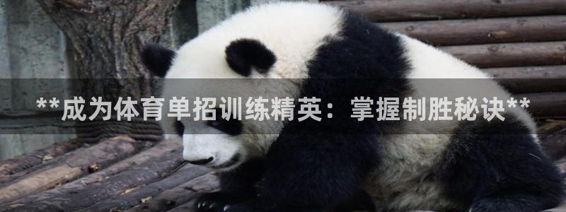 耀世娱乐平台注册登录不了：**成为体育单招训练精英：