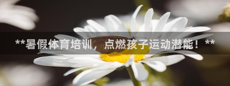 耀世平台先 585341 耀世：**暑假体育培训，点