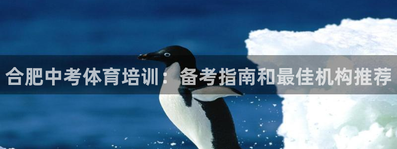 耀世集团七天三倍彩金活动：合肥中考体育培训：备考指南