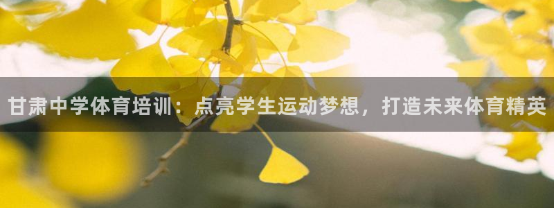 耀世平台负责人是谁：甘肃中学体育培训：点亮学生运动梦