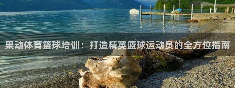 耀世平台招商：果动体育篮球培训：打造精英篮球运动员的