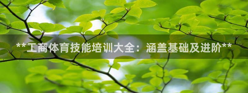 耀世平台代理注册登录：**工商体育技能培训大全：涵盖