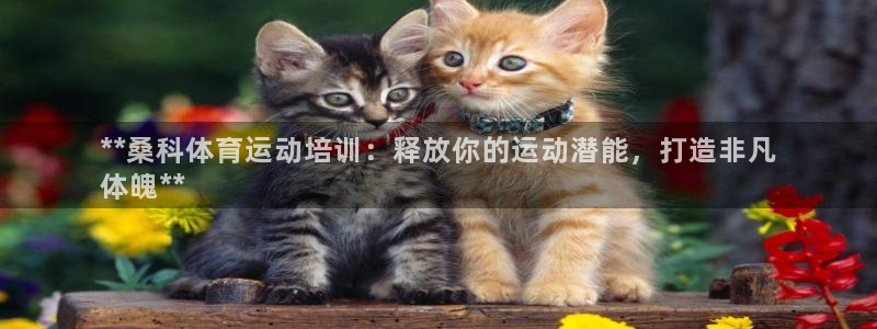 耀世平台告7O777：**桑科体育运动培训：释放你的