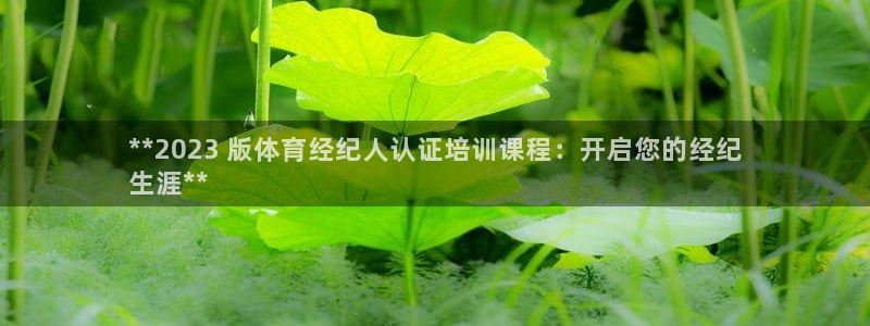 耀世平台面 411O31 平台：**2023 版体育