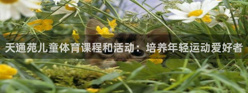 耀世娱乐网站：天通苑儿童体育课程和活动：培养年轻运动