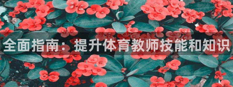 耀世而来：全面指南：提升体育教师技能和知识