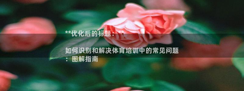 耀世娱乐app下载官网苹果：**优化后的标题：**

