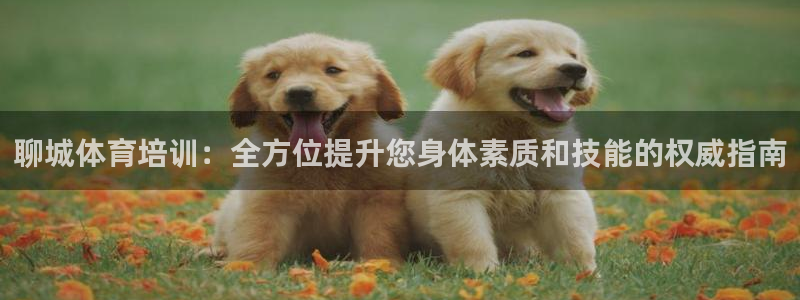 耀世娱乐是不是赚钱：聊城体育培训：全方位提升您身体素
