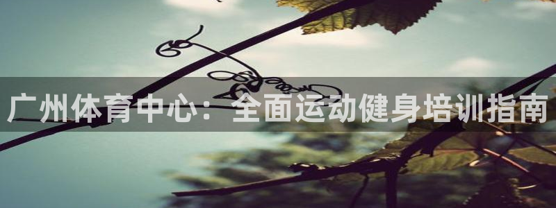 耀世娱乐挂机脚本下载：广州体育中心：全面运动健身培训
