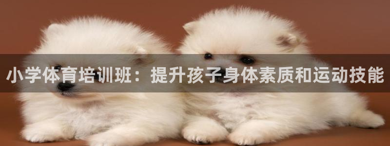 耀世娱乐注册账号：小学体育培训班：提升孩子身体素质和