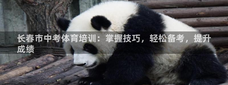 耀世集团商业联盟罗文斌：长春市中考体育培训：掌握技巧