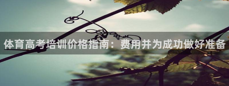 耀世娱乐app下载：体育高考培训价格指南：费用并为成