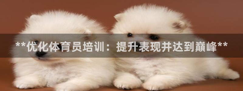 耀世娱乐辅助软件下载安装：**优化体育员培训：提升表