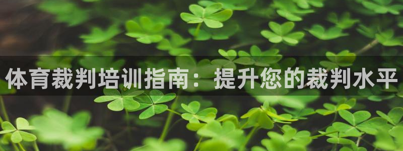 耀世娱乐合法吗：体育裁判培训指南：提升您的裁判水平