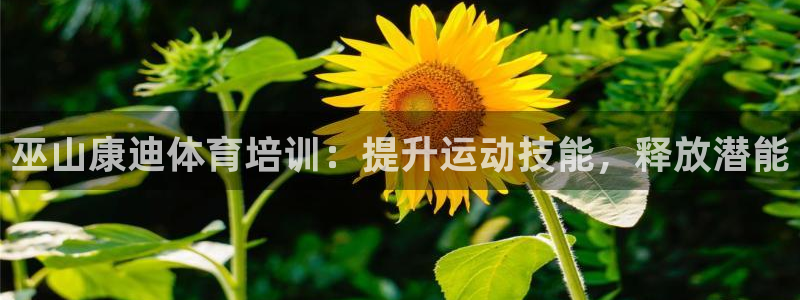 耀世平台实7O777：巫山康迪体育培训：提升运动技能