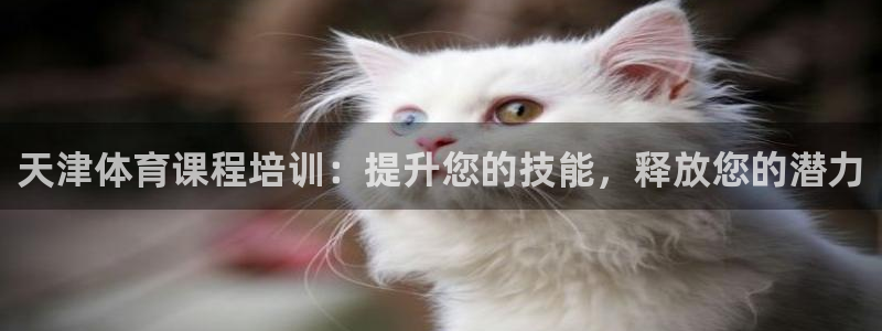耀世平台的运营模式分析：天津体育课程培训：提升您的技