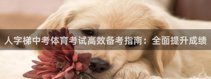 耀世国际集团：人字梯中考体育考试高效备考指南：全面提