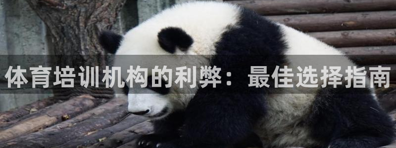 耀世娱乐注册开户：体育培训机构的利弊：最佳选择指南