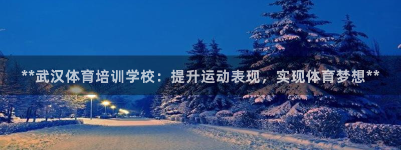 耀世娱乐挂机脚本怎么用：**武汉体育培训学校：提升运