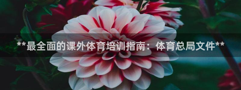 耀世娱乐百科官网：**最全面的课外体育培训指南：体育
