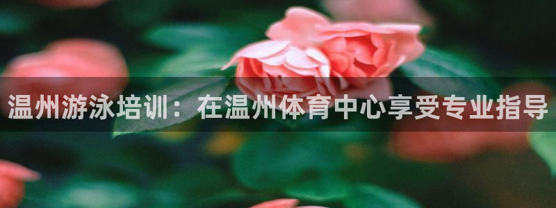 耀世集团总部在哪儿：温州游泳培训：在温州体育中心享受