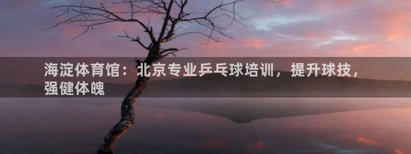 耀世是什么意思：海淀体育馆：北京专业乒乓球培训，提升