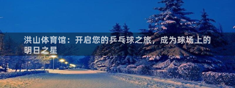 耀世娱乐脚本下载：洪山体育馆：开启您的乒乓球之旅，成