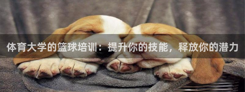 耀世平台理7O777：体育大学的篮球培训：提升你的技