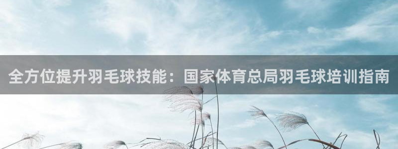 耀世平台最新注册地址是哪里：全方位提升羽毛球技能：国