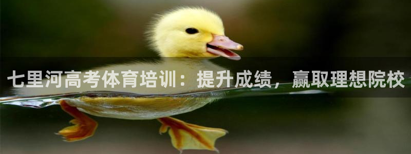 耀世平台下载：七里河高考体育培训：提升成绩，赢取理想