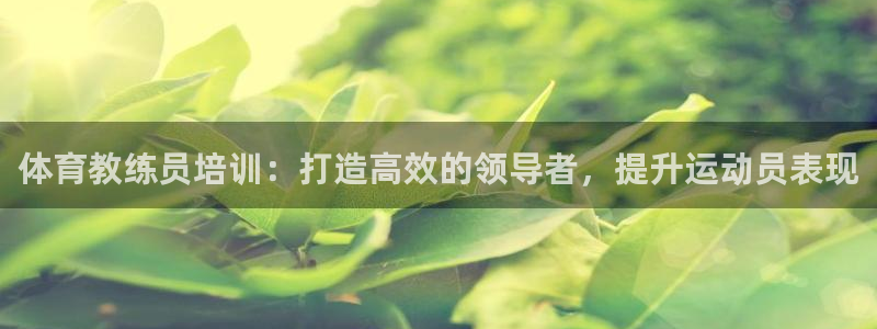 耀世平台主管：体育教练员培训：打造高效的领导者，提升