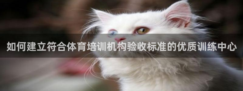 耀世平台代理：如何建立符合体育培训机构验收标准的优质