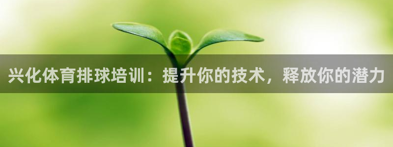 耀世娱乐注册登陆：兴化体育排球培训：提升你的技术，释