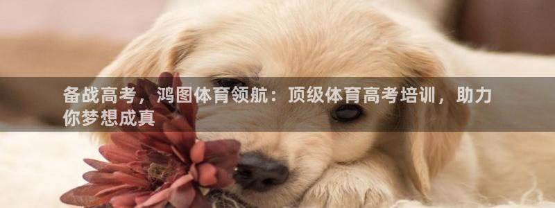 耀世天下的网名是什么意思啊：备战高考，鸿图体育领航：