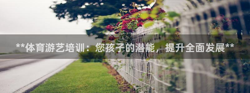 耀世燃气灶是哪个牌子：**体育游艺培训：您孩子的潜能，提升全