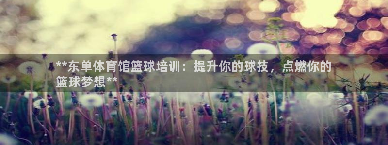 耀世平台认 58534I 耀世：**东单体育馆篮球培