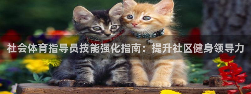 耀世娱乐可以玩吗知乎：社会体育指导员技能强化指南：提