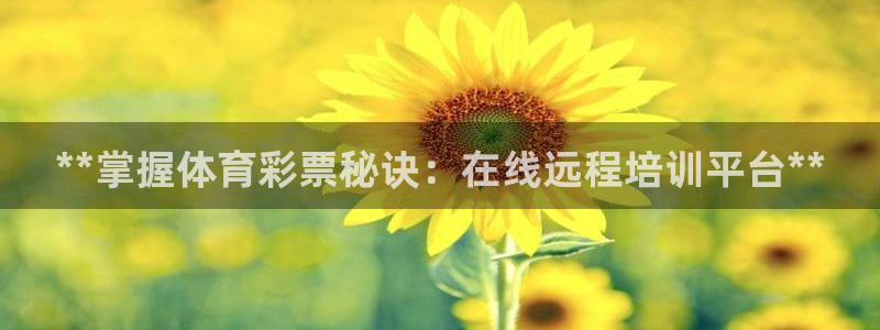 耀世娱乐是正规还是仿真：**掌握体育彩票秘诀：在线远程培训平