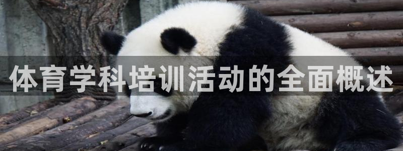 六星耀世什么意思：体育学科培训活动的全面概述